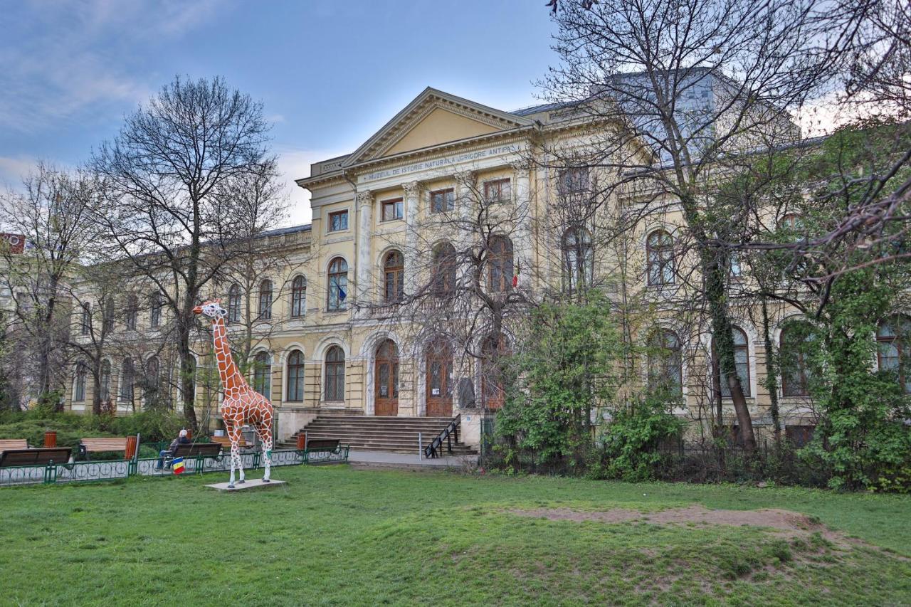 Oak Apartment - Piata Victoriei Bucharest Exterior photo